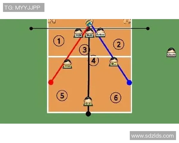 上海排球队总决赛战术解析与表现评估的深度分析