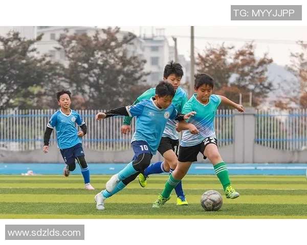 吉水足球明星的崛起与成就探索,谁是这座城市的骄傲之星 吉水足球明星的崛起与成就探索,谁是这座城市的骄傲之星