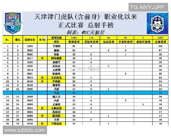 西安排球队在锦标赛中的速度表现分析与点评
