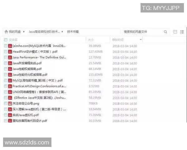 足球明星张博超的成长历程与职业生涯全景解析
