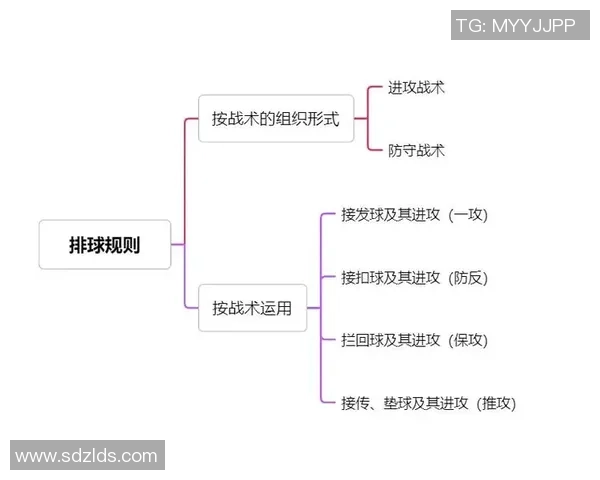 重庆排球队的战术节奏分析与未来发展展望 重庆排球队的战术节奏分析与未来发展展望