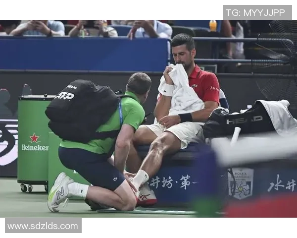 上海网球队实力强劲荣登网球力量排行榜第五名