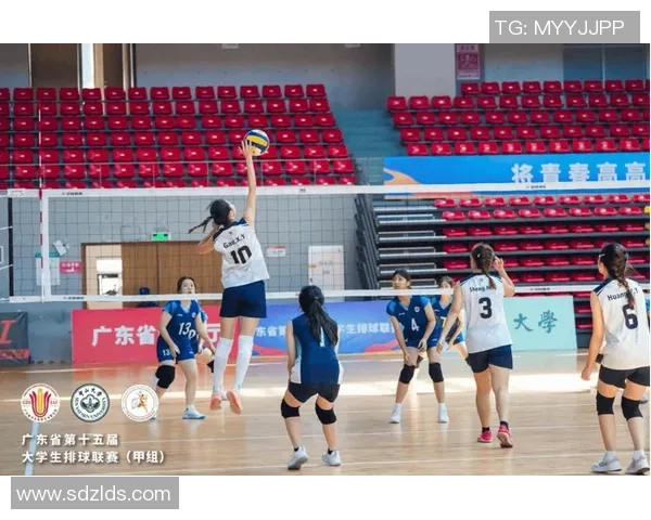 广州排球队的拼搏历程与冠军赛荣耀背后的故事