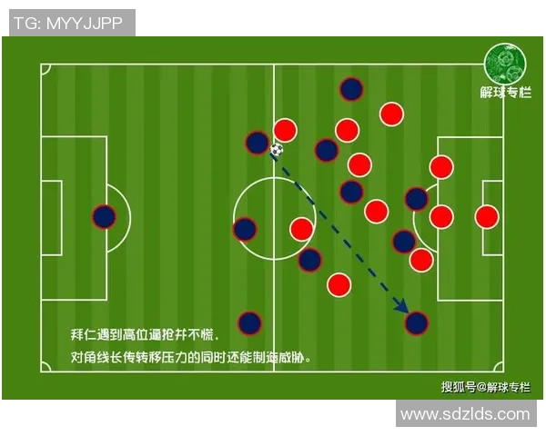 成都排球队与北京排球队赛后复盘分析灵活性表现与战术调整