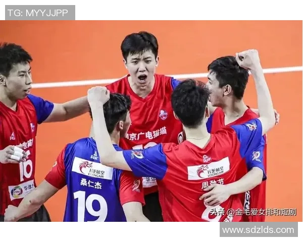 南京排球队实力强劲荣登全国排球力量排行榜第三名